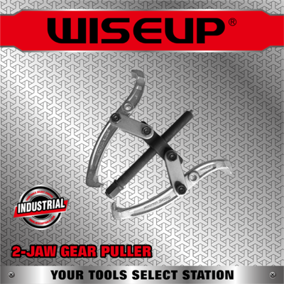 WISEUP ARRACHE 2 BRAS 90*100MM 060713