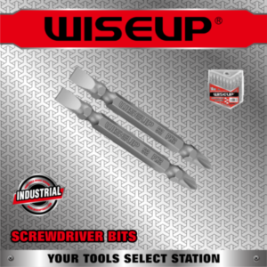 WISEUP EMBOUT PLAT/AMERICAIN BTE 10PCS 65MM/PH2/S2 090502