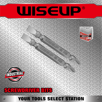 WISEUP EMBOUT PLAT/AMERICAIN BTE 10PCS 65MM/PH2/S2 090502