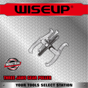 WISEUP ARRACHE 3 BRAS