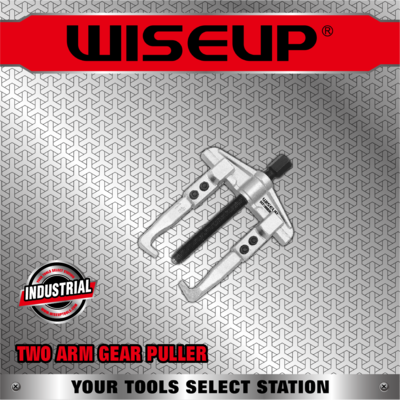 WISEUP ARRACHE 2 BRAS